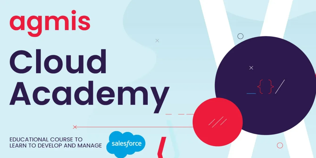 Educational course to learn to develop and manage salesforce.