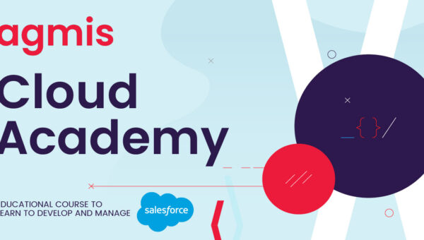 Educational course to learn to develop and manage salesforce.