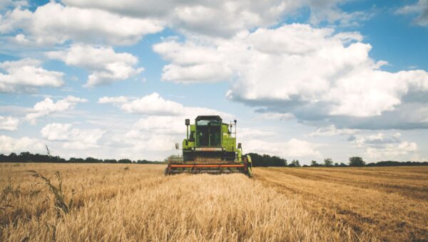Artificial Intelligence in Agriculture: How AI reinvents Traditional Farming
