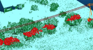 vegetation related defects agmis