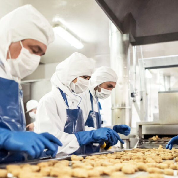AI PPE Detection for Food Manufacturing: Mantinga Case Study