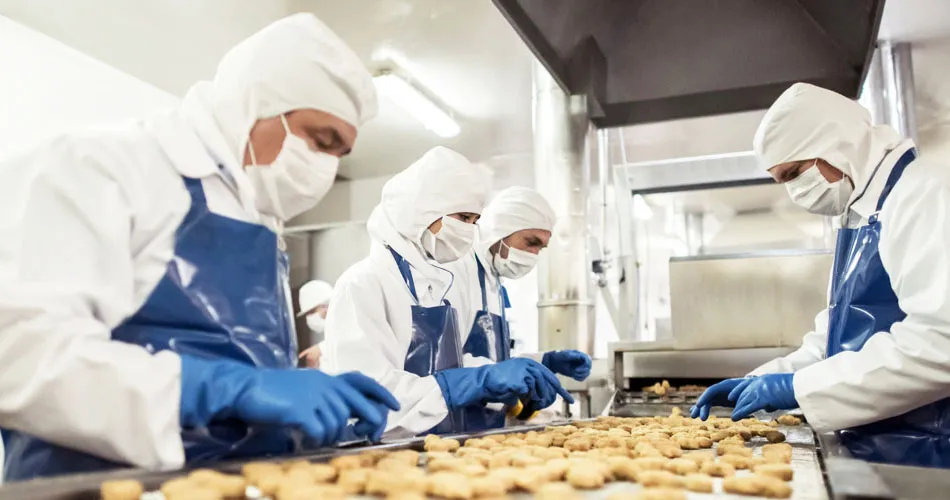 AI PPE Detection for Food Manufacturing: Mantinga Case Study