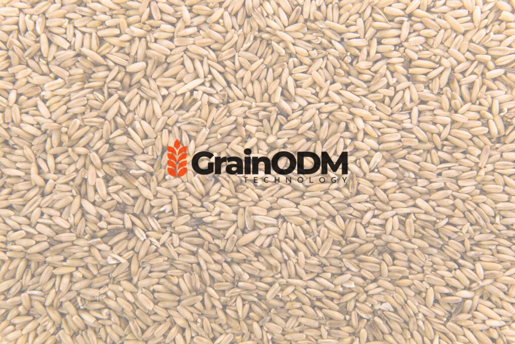 Introducing GrainODM: AI-Powered Grain Analysis (600x Faster)