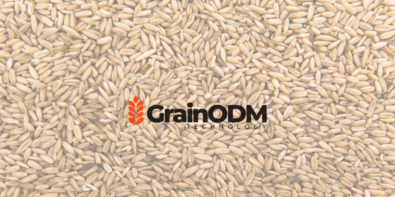 AI grain inspection