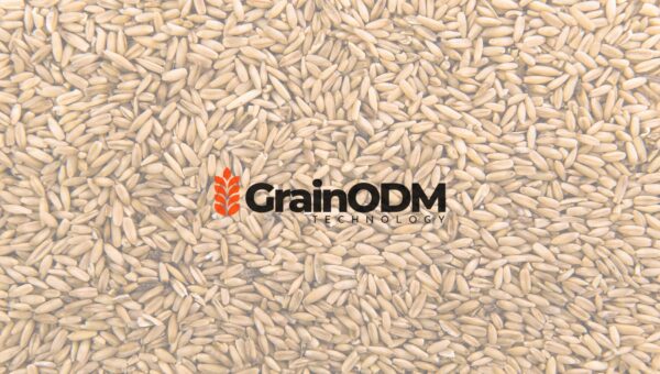 AI grain inspection