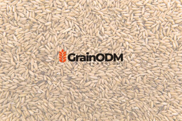 AI grain inspection