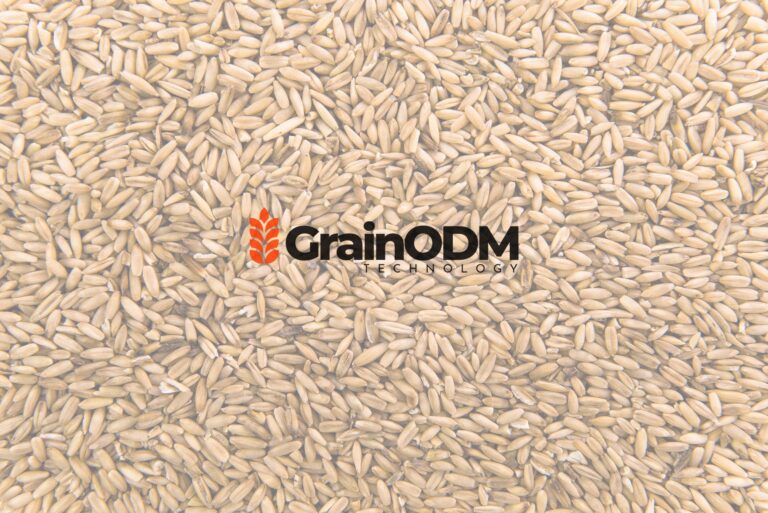 Introducing GrainODM: AI-Powered Grain Analysis (600x Faster)