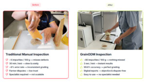 GrainODM grain AI inspection