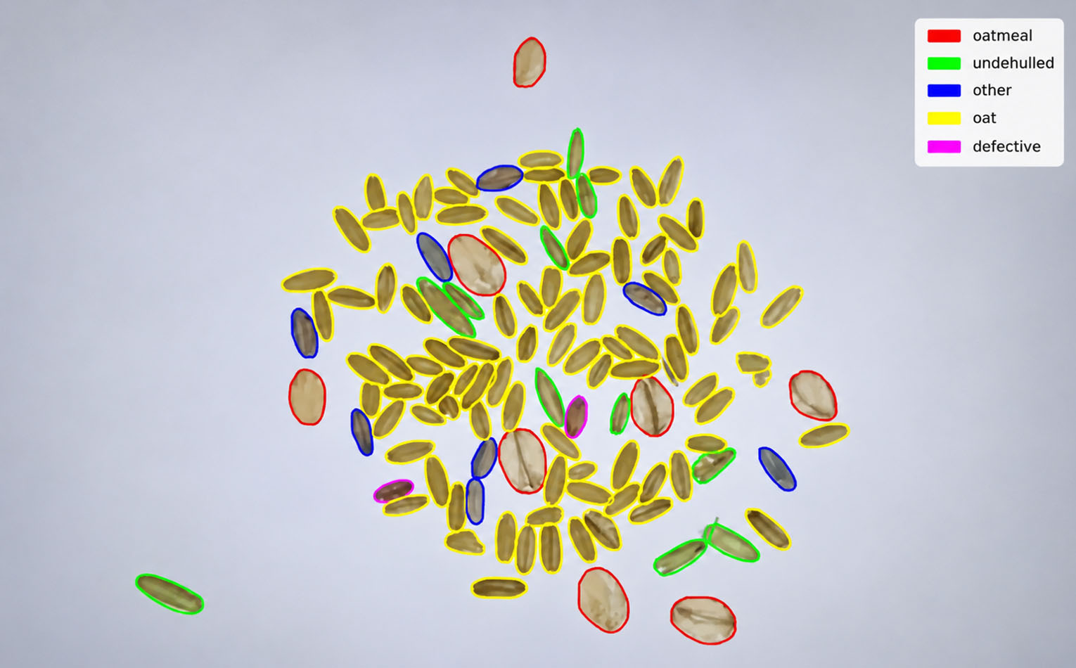 Computer vision projects in agriculture — GrainODM AI system analyzing oat samples 75× faster than manual inspection 