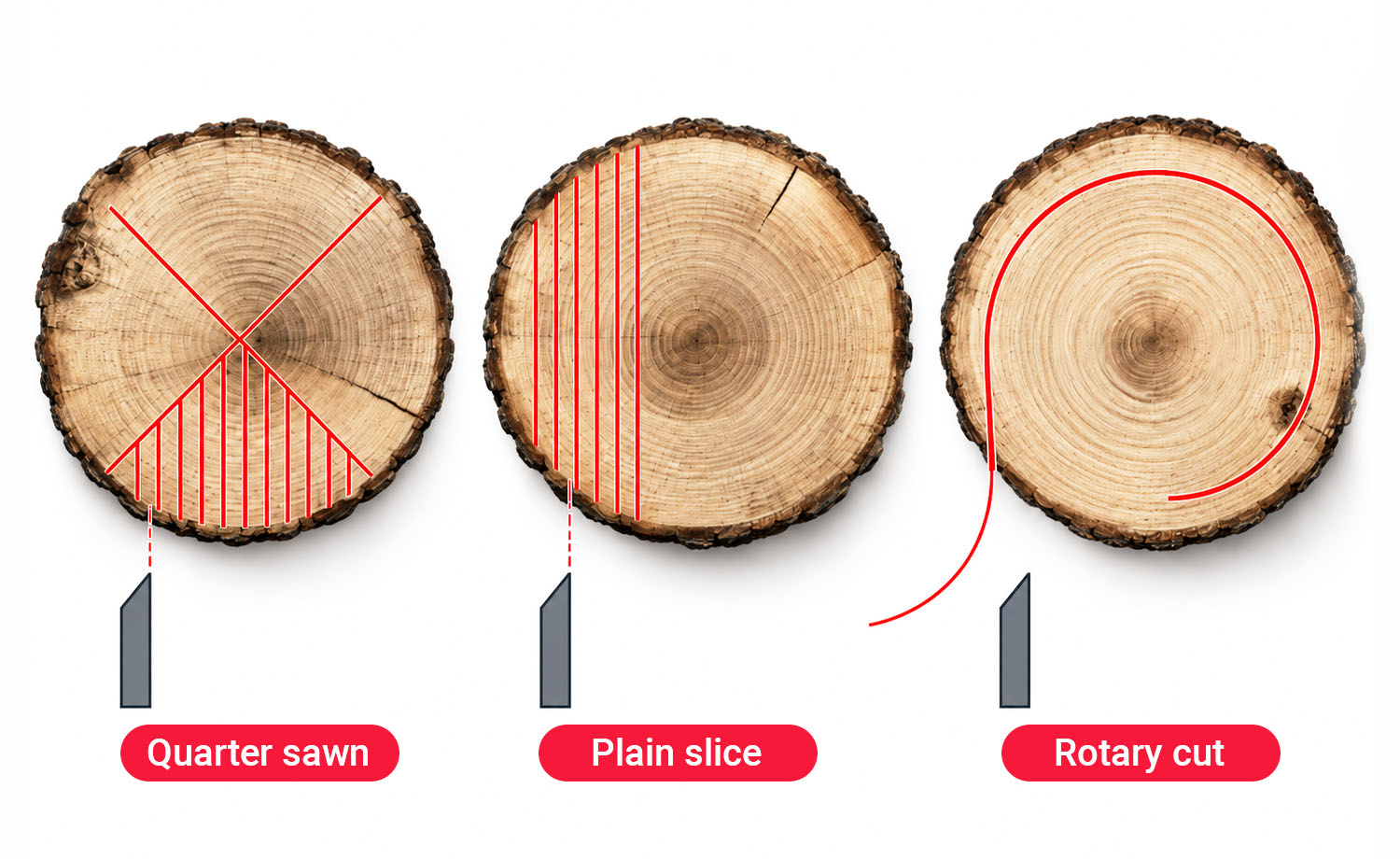 Quarter-sawn, plain-sliced and rotary-cut examples shown side by side.